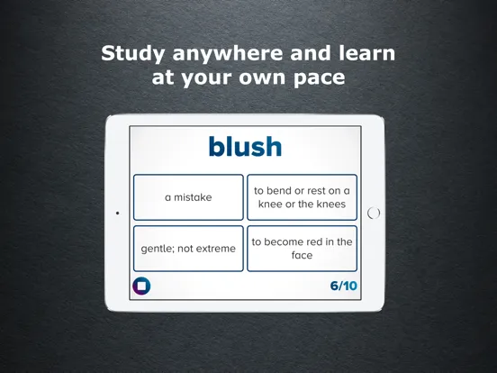 Скриншоты 4th Grade Vocabulary Challenge iPad 
