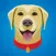 GoldenMoji Messenger