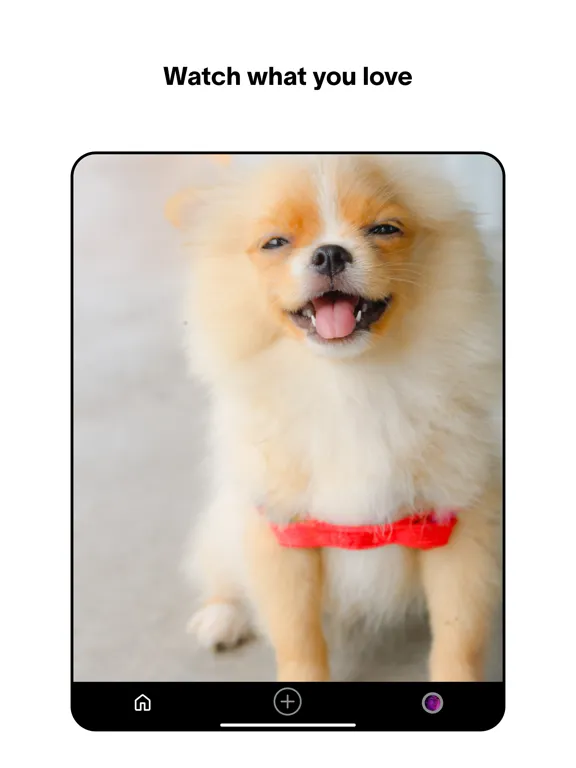 Zrzuty ekranu Social - Your Life Your People iPad 