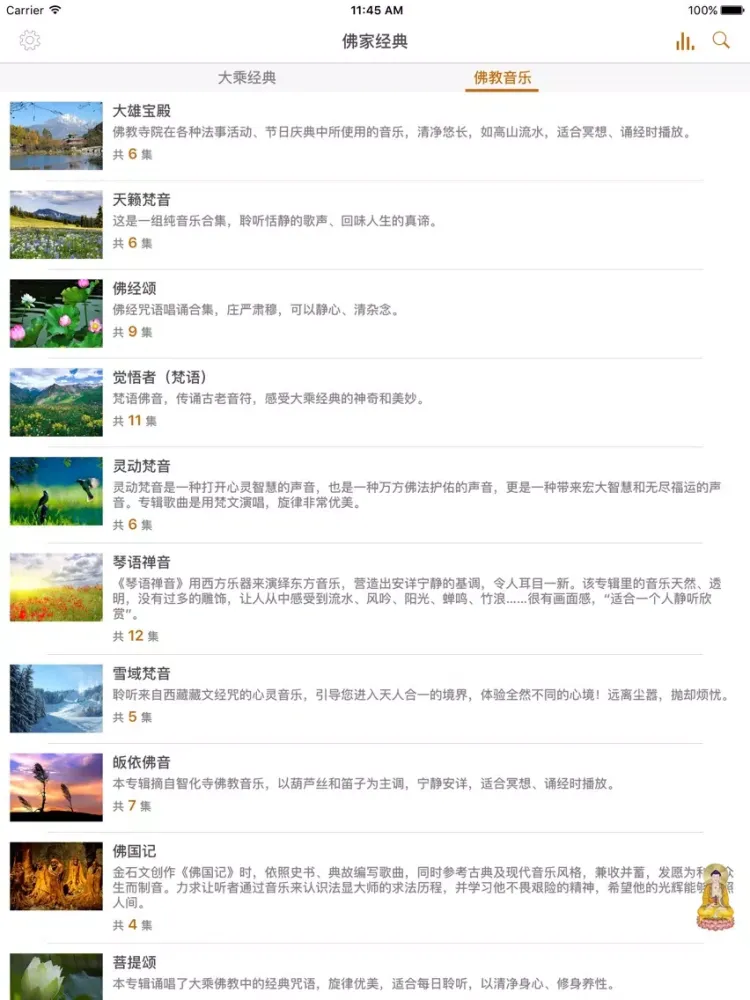 佛经佛乐 - 积福 许愿 消灾 求财 转运 本命年 iPad  سکرین شاٹس