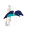 Pega Community Forum 2024
