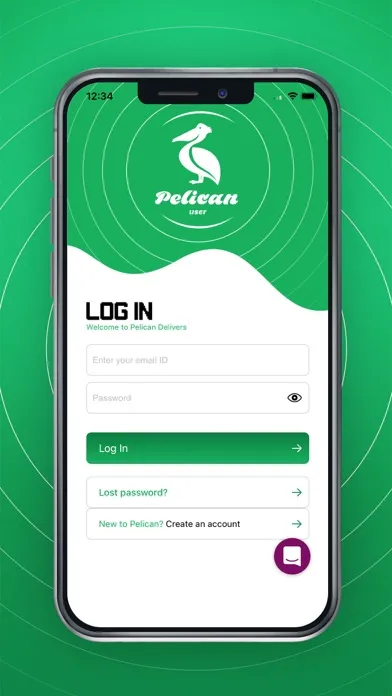 Pelican Delivers Marketplace Screenshots
