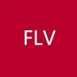 FLV Player - open flv files in email or cloud disk