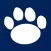 Nittany Nation