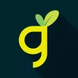 Groc