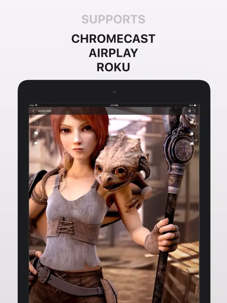 PlayerXtreme Media Player iPad  Screenshots