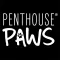 Penthouse Paws