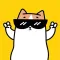 WuWu’s Kitcat