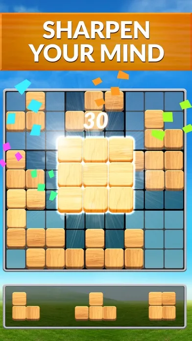 Blockscapes Sudoku应用截图