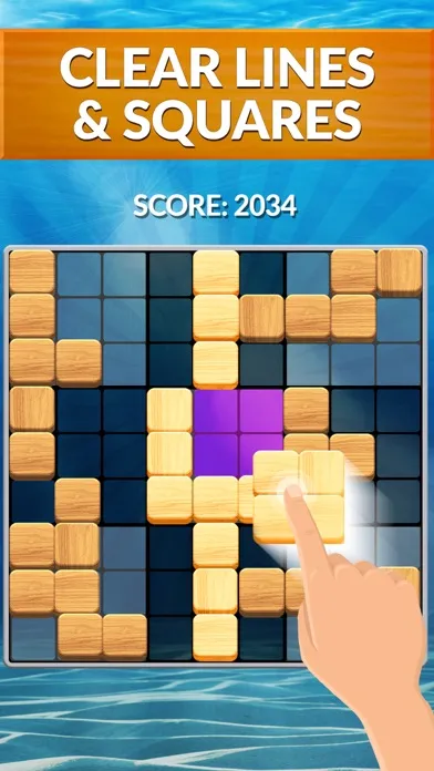 Blockscapes Sudoku应用截图
