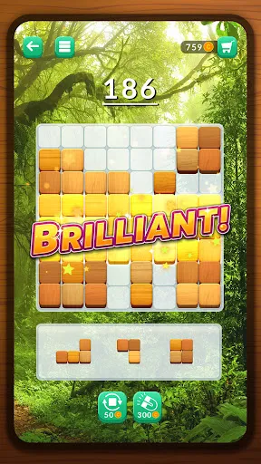 Blockscapes - Block Puzzle应用截图