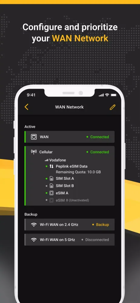 Screenshot di Peplink