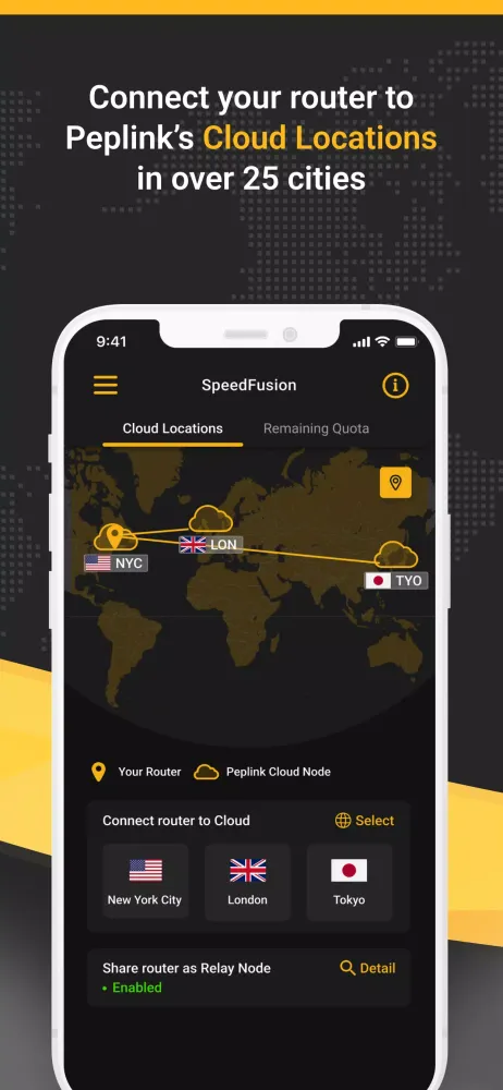 Screenshot di Peplink