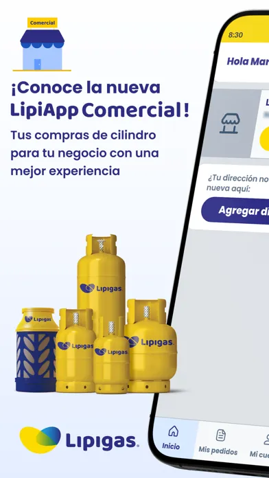 Capturas de tela do LIPIAPPComercial