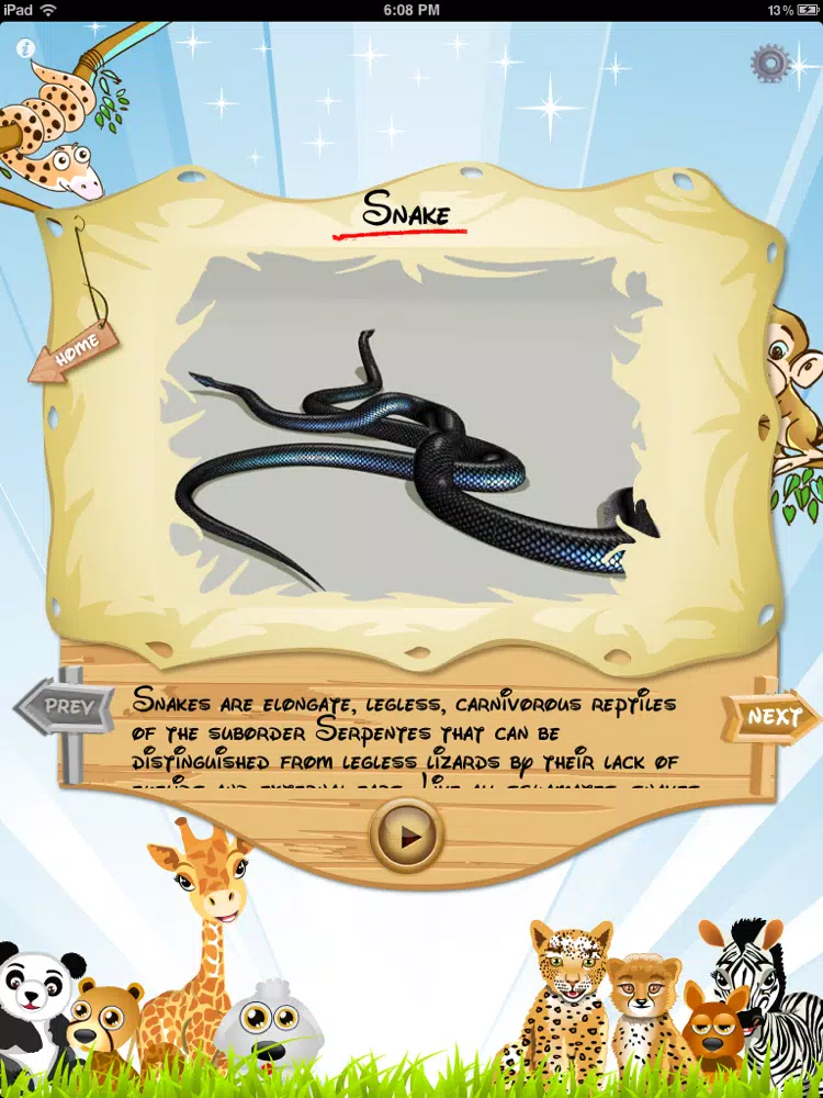 Ảnh chụp màn hình của Letz Learn Animals iPad 