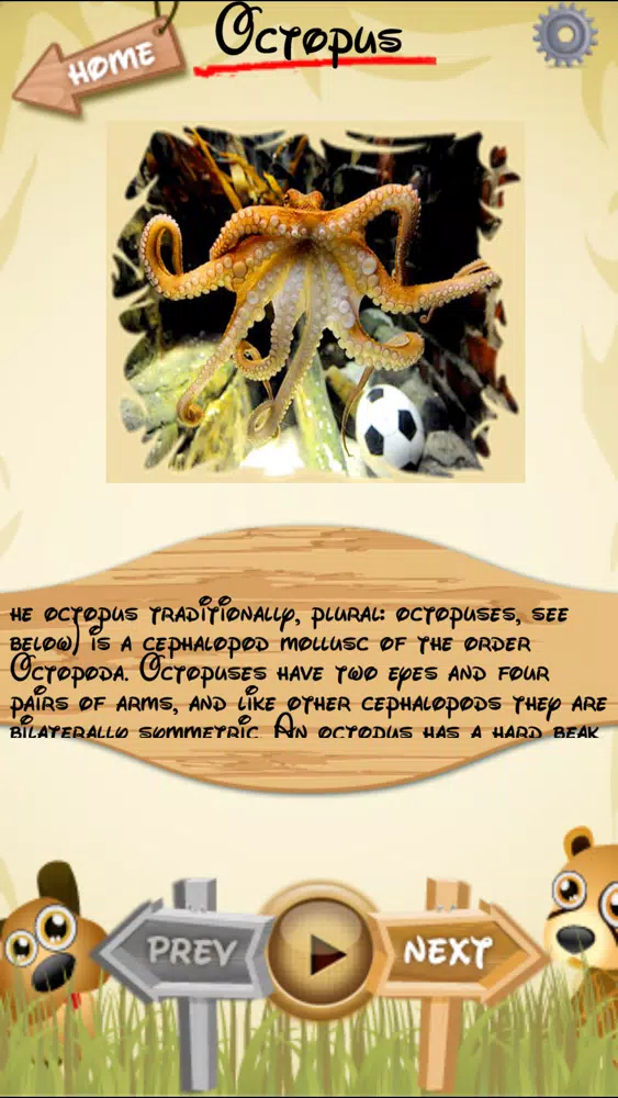 Ảnh chụp màn hình của Letz Learn Animals