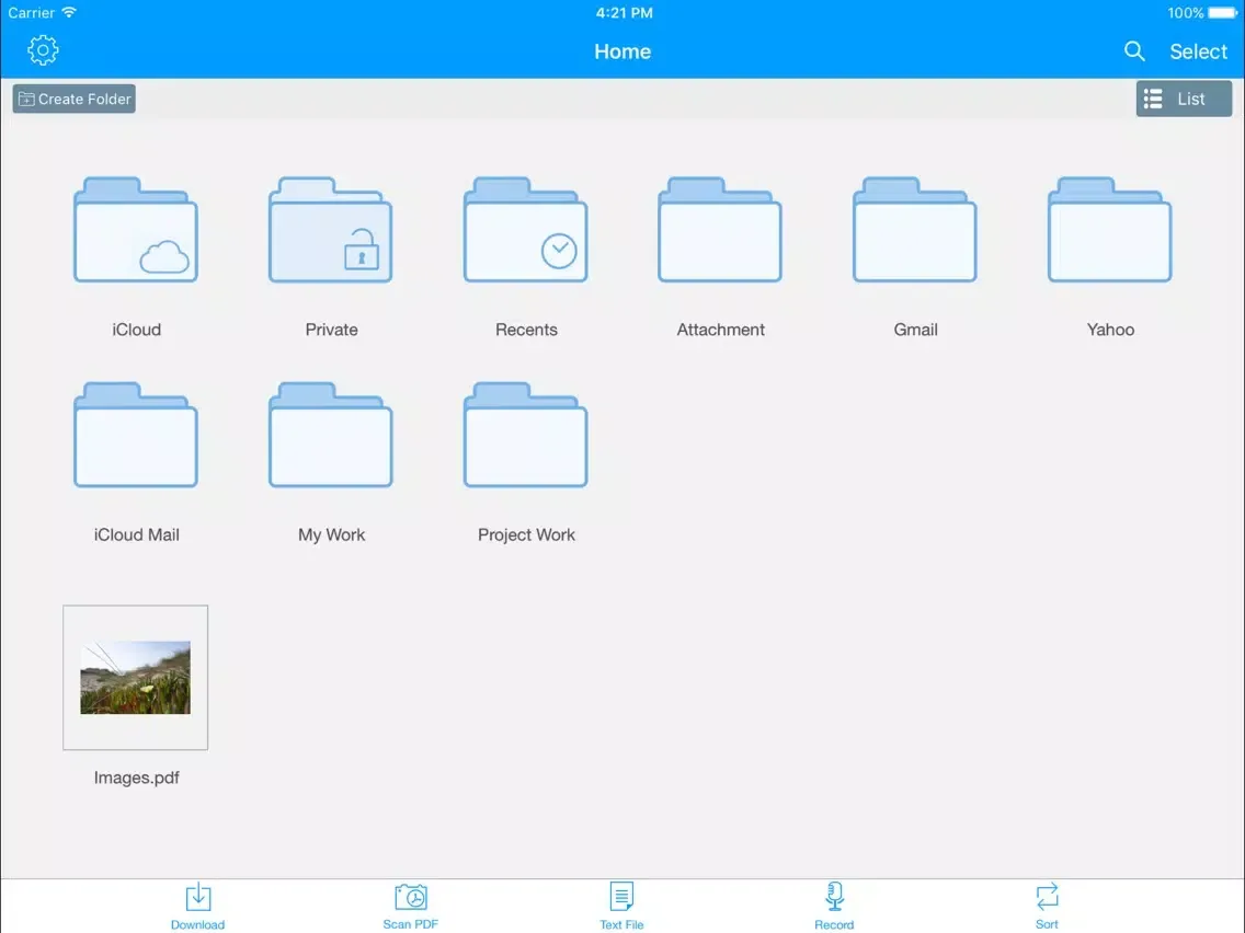File Pro Mini iPad Screenshots