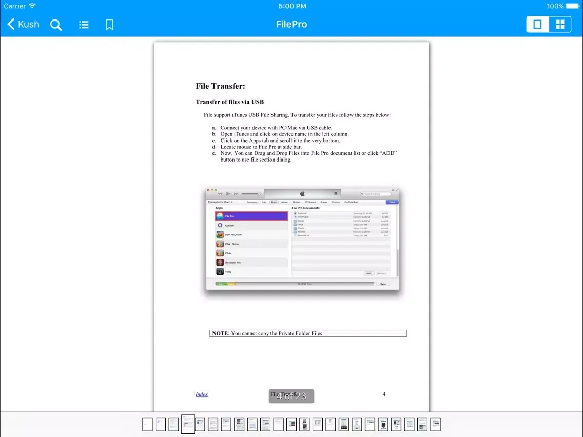 File Pro Mini iPad Screenshots