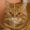 Quantum Upscaler & Photo Fix