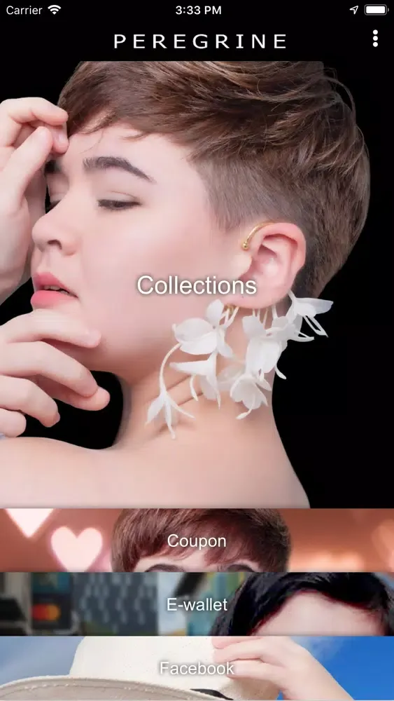 Ảnh chụp màn hình của PEREGRINE DESIGNS