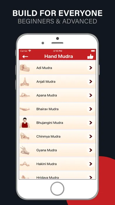 Mudras [YOGA]应用截图