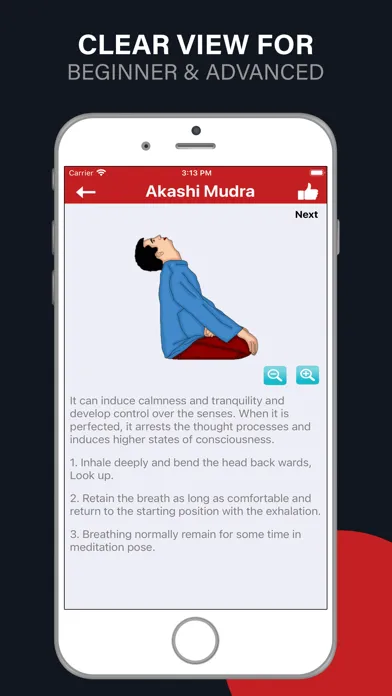 Mudras [YOGA]应用截图