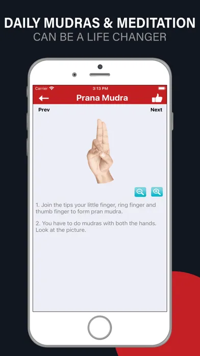 Mudras [YOGA]应用截图