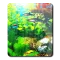Perfecto Aquarium Real Fish HD