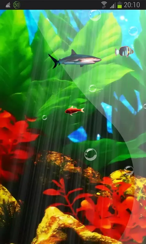 Perfecto Aquarium Real Fish HD Screenshots
