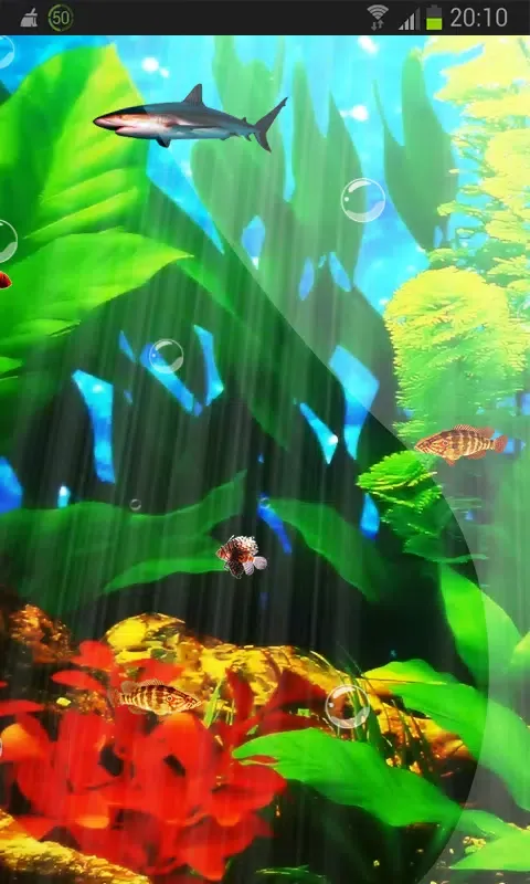 Perfecto Aquarium Real Fish HD Screenshots