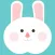 Travelling Rabbit