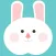 Travelling Rabbit