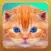Cat & Kitten Meow Sounds
