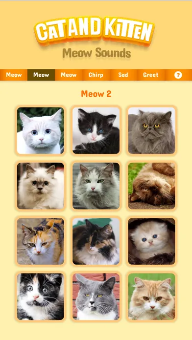Capturas de pantalla de Cat & Kitten Meow Sounds