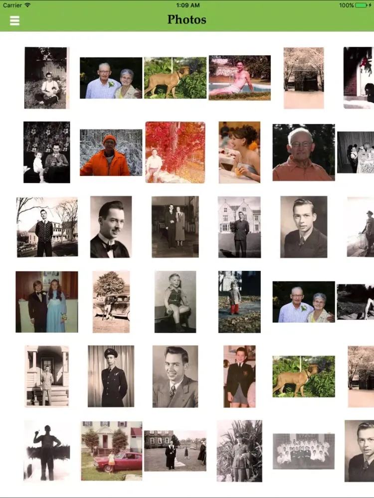 Capturas de pantalla de PermaVita Memorials iPad 