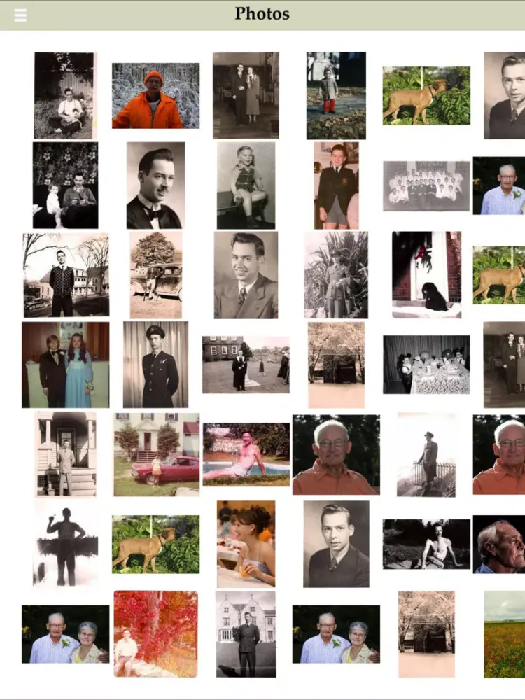 Ảnh chụp màn hình của Turner & Porter Memorials iPad 
