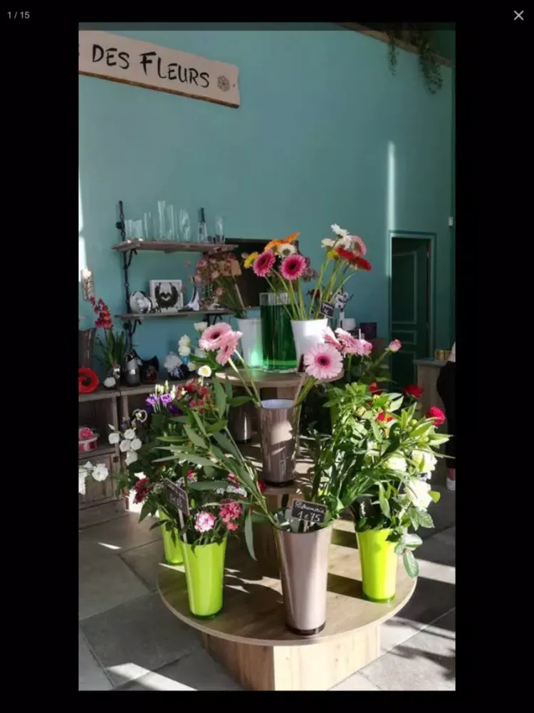 Capturas de tela do Aimer Les Sens Des Fleurs iPad 