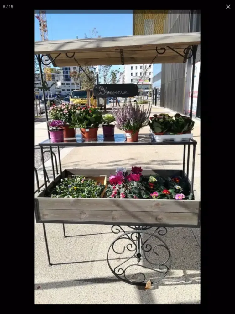 Capturas de tela do Aimer Les Sens Des Fleurs iPad 