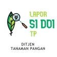 SI DOI