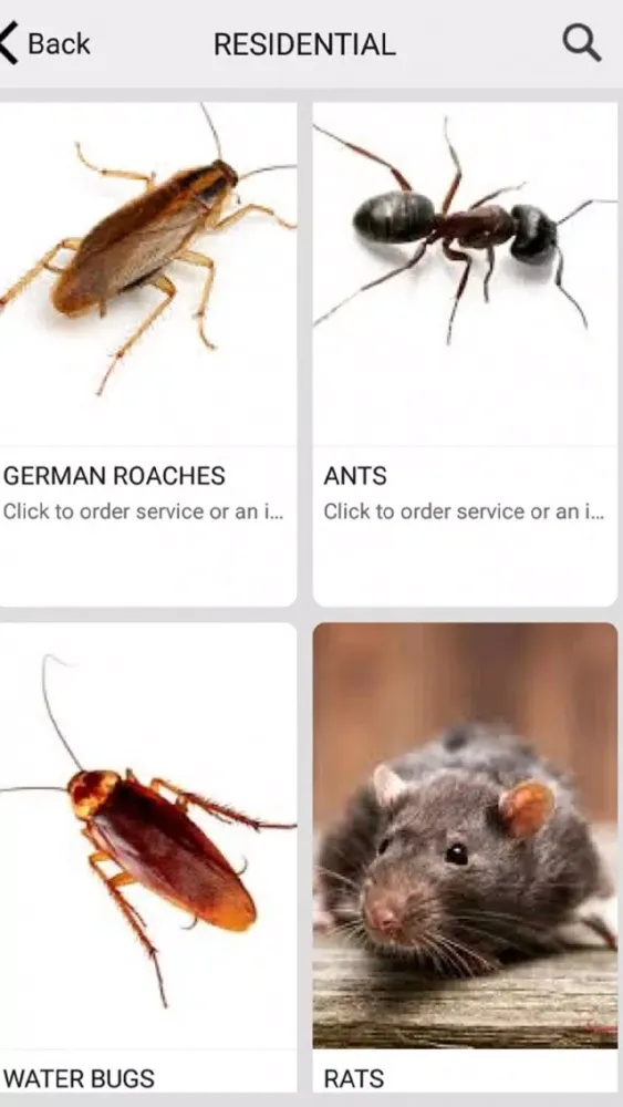 Скриншоты Pest Service Direct