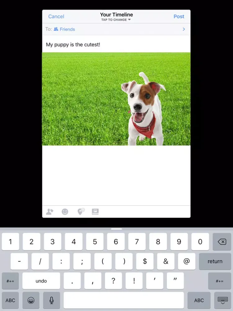 Pet-Peeps iPad 应用截图