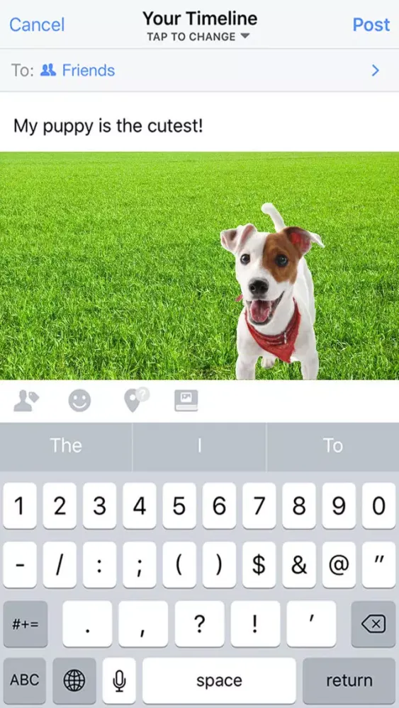 Pet-Peeps应用截图