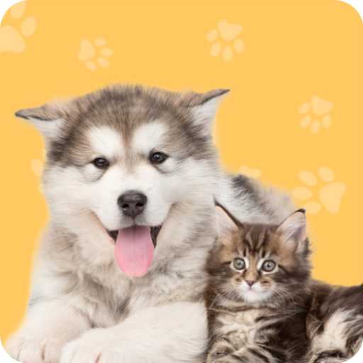 Pet Translator
