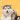 Pet Translator
