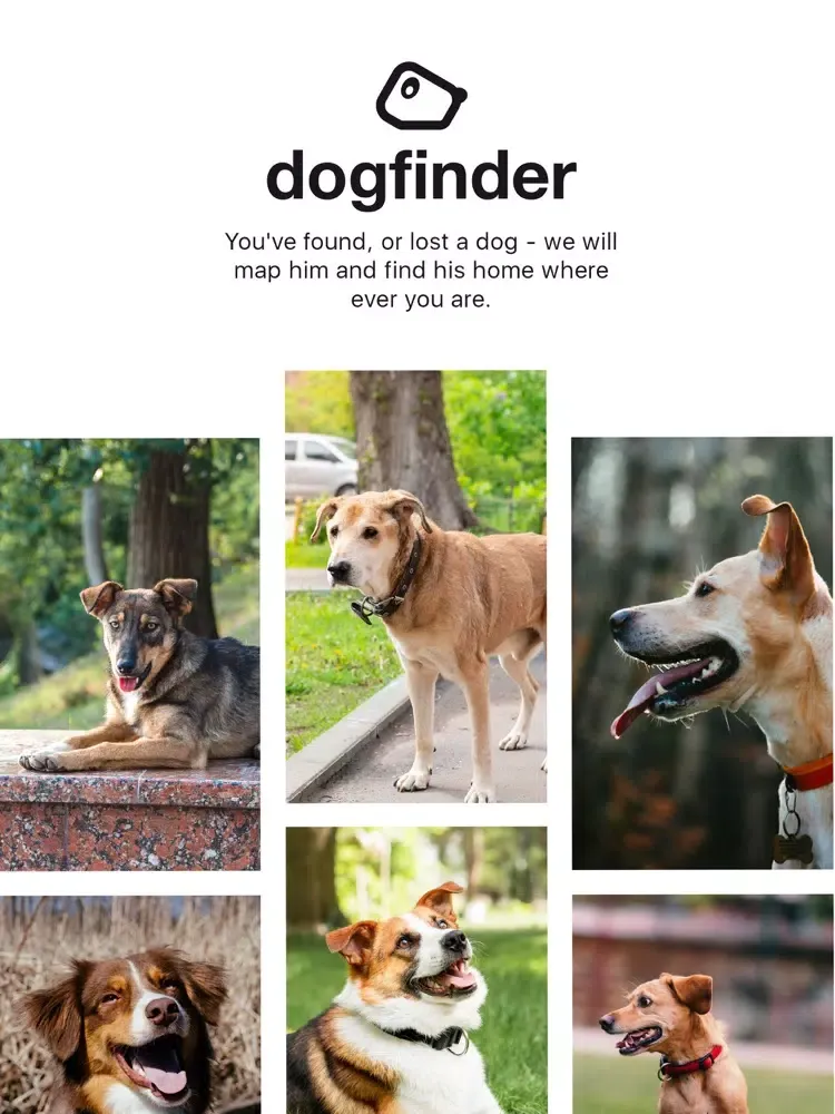 Dog Finder App iPad  Screenshots