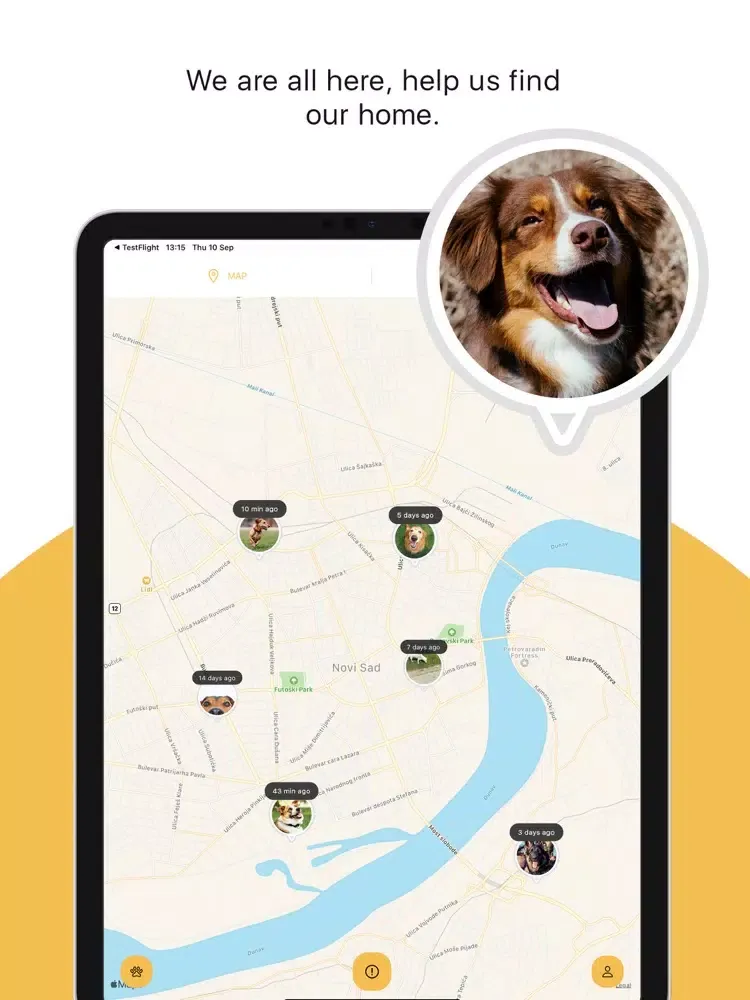 Dog Finder App iPad  Screenshots