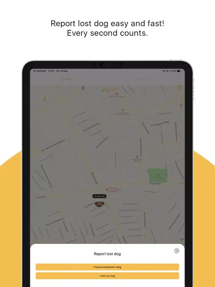 Dog Finder App iPad  Screenshots
