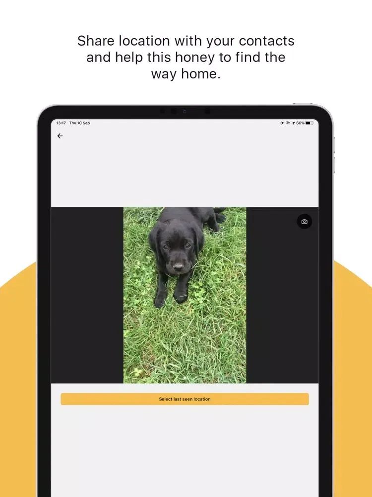 Dog Finder App iPad  Screenshots
