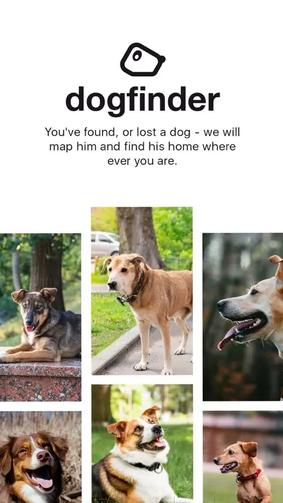 Dog Finder App Screenshots