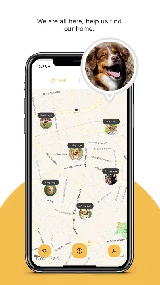 Dog Finder App Screenshots